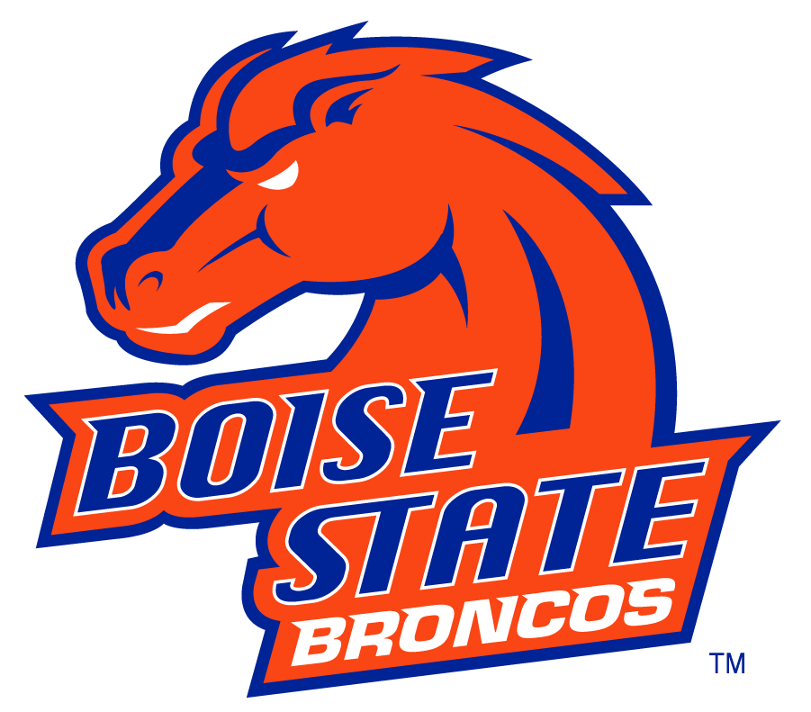 Boise State Broncos 2002-2012 Secondary Logo v16 t shirts iron on transfers